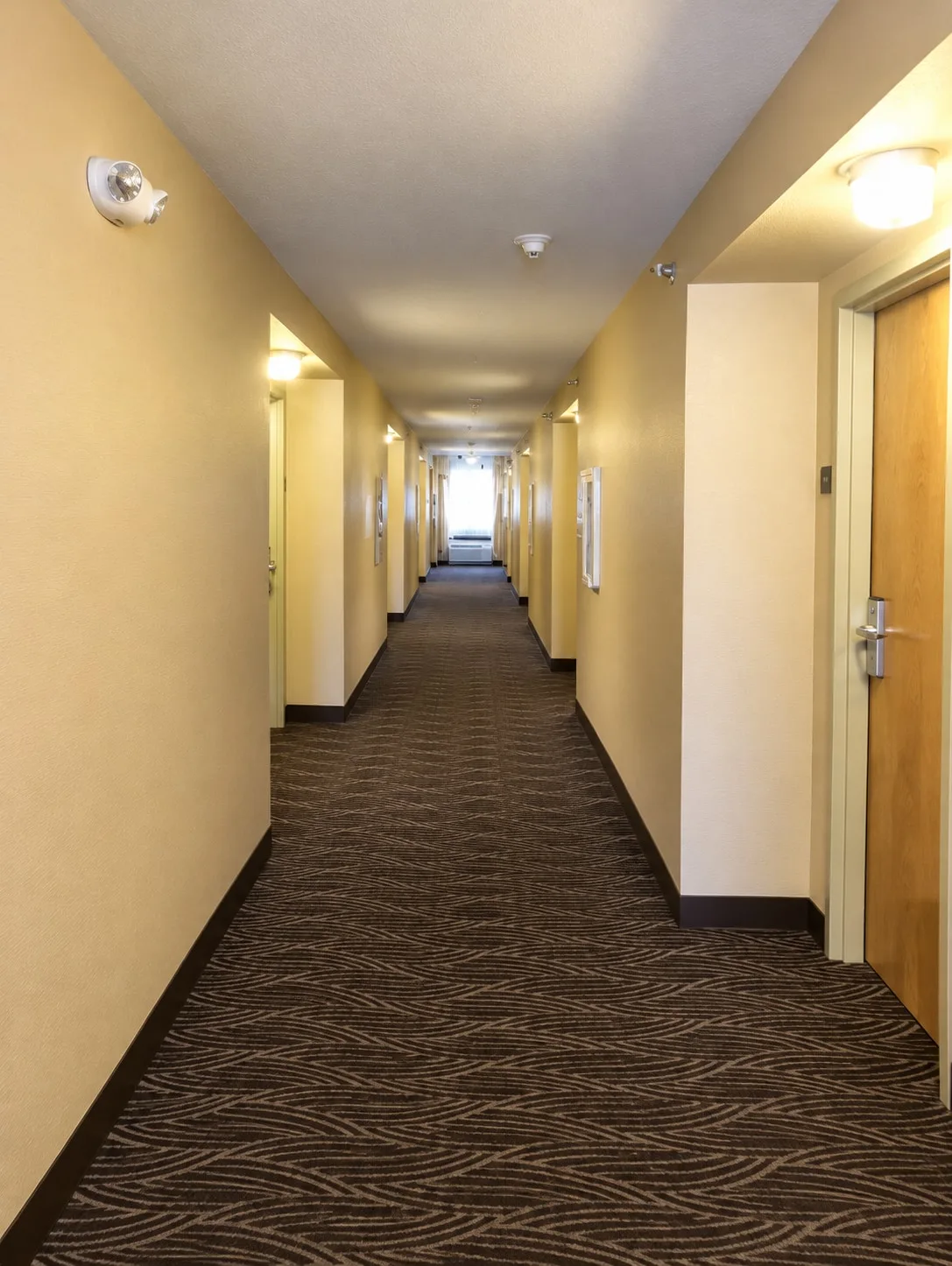 Carpeted guest-room corridor with daylight at the far end